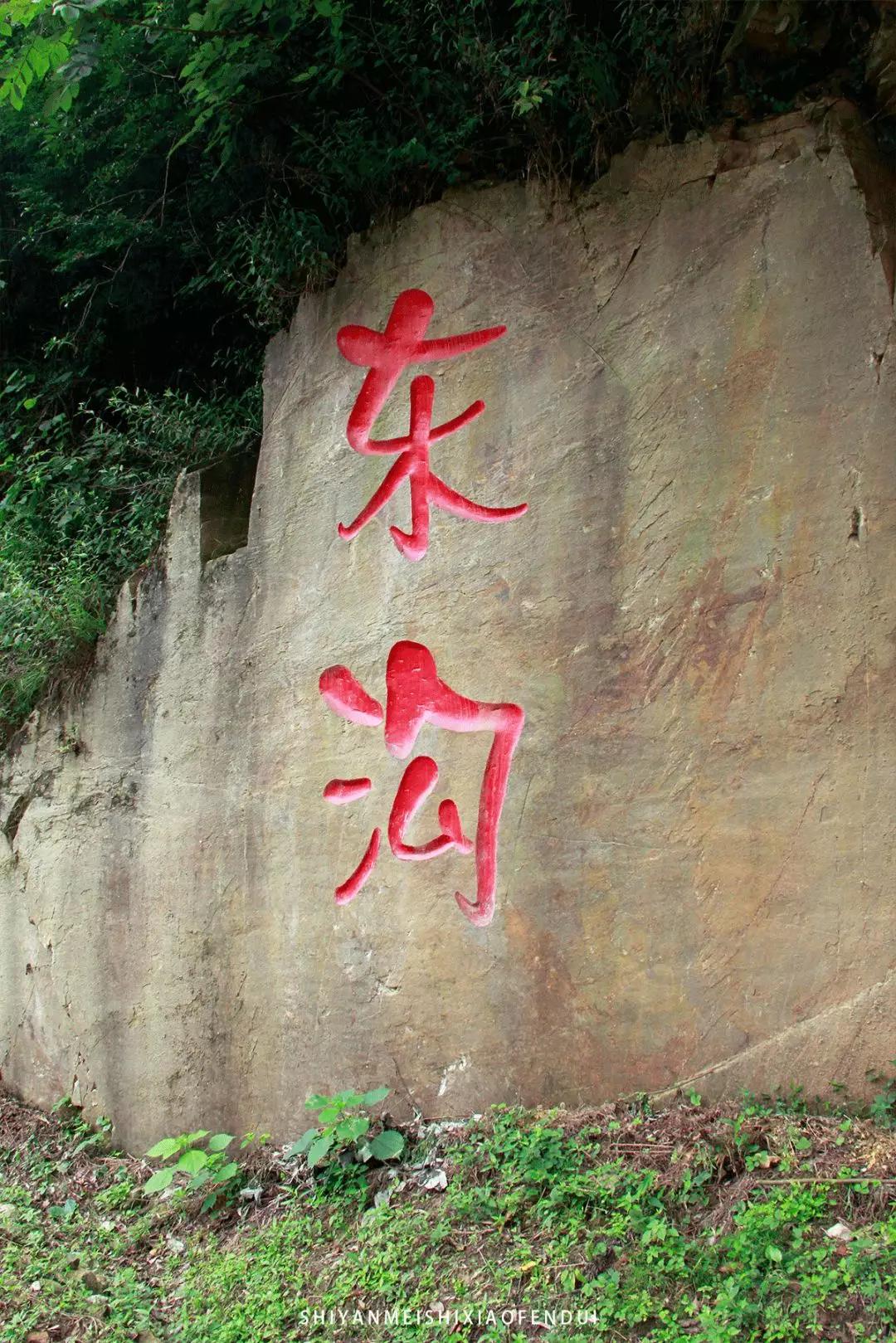 2019年，我们吃了300+家店，一次性都给你！必须收藏