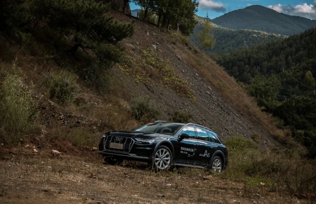 奥迪超级搞笑,奇葩奥迪
