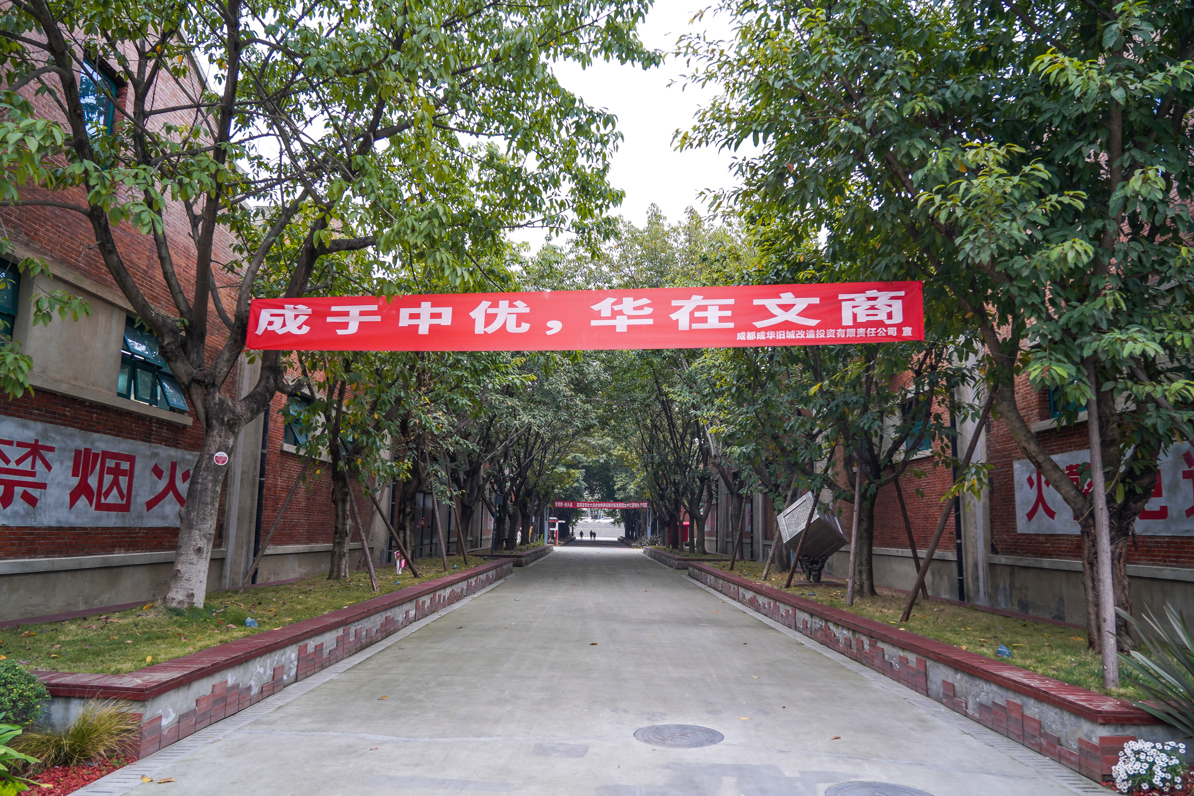 成都酒店大熊猫一日游,成都大熊猫繁育研究基地游玩攻略