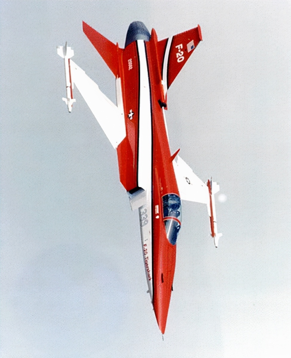 虎鲨悲剧,极富悲剧色彩的虎鲸