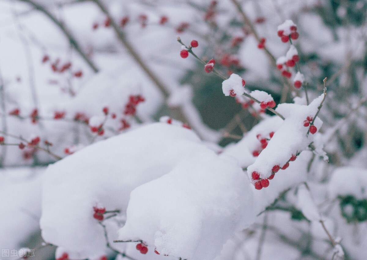 终于凑齐了九宫格照片,傻瓜式九宫格图片
