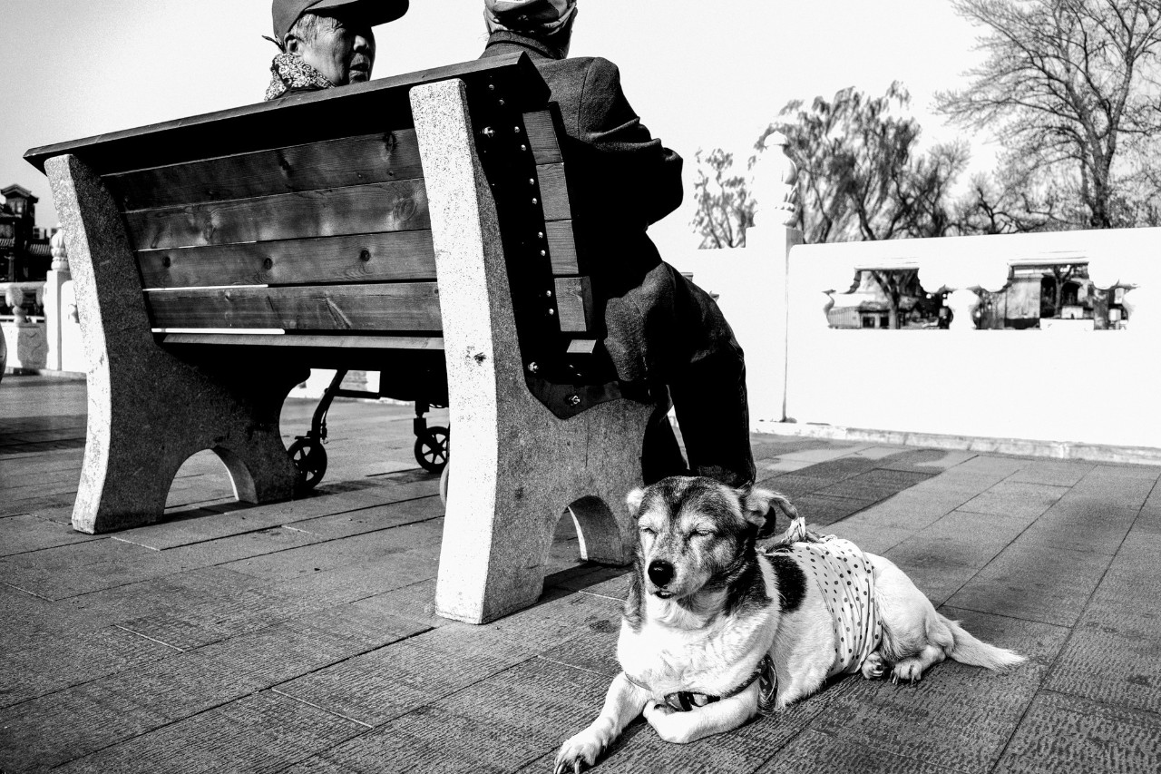 街拍之魂，理光GRIII体验