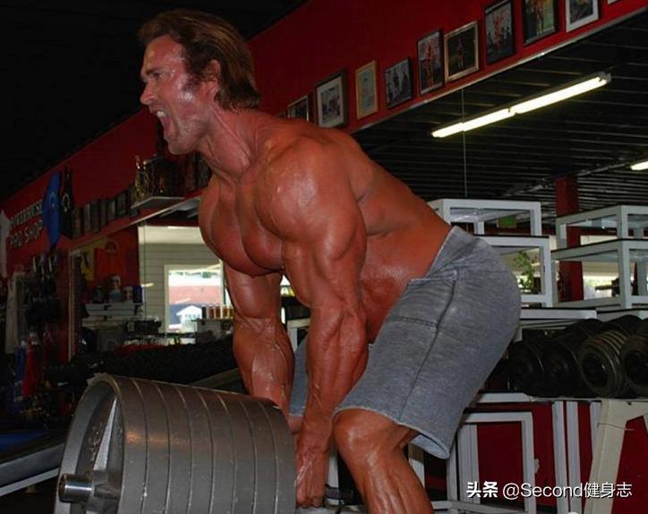 大力王身材堪比施瓦辛格,大力王迈克奥赫恩和施瓦辛格