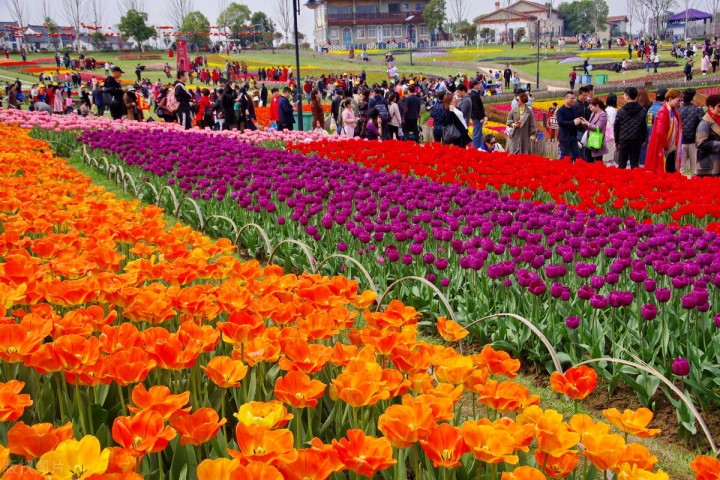 五一自驾游推荐景点武汉,武汉适合周末出游的地方