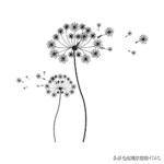 成人看图学英语之各种类型的花