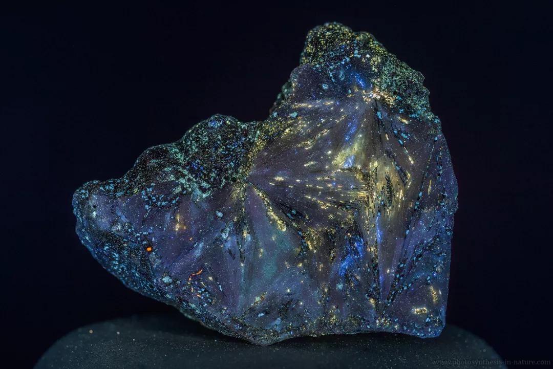 紫外线外星人真的存在吗,外星生命紫外线