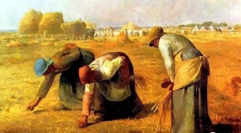 见识一下真正的学区房,目前有哪些好的学区房