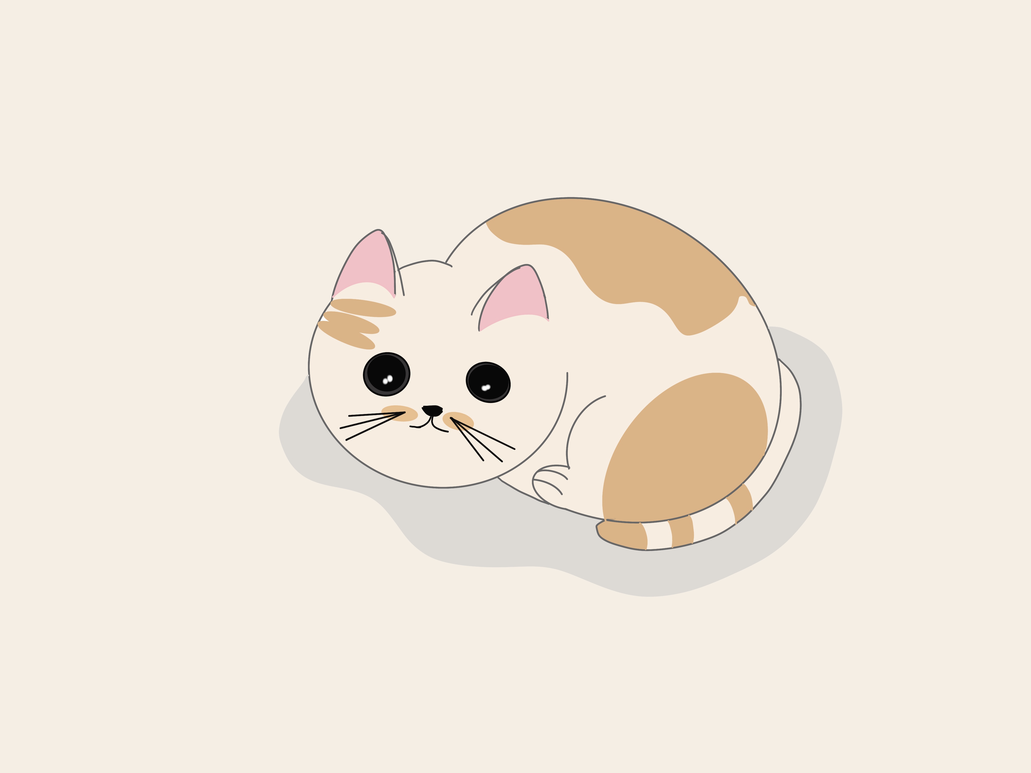 家里养猫怎么缓解猫的害怕,家猫特别害怕流浪猫怎么办