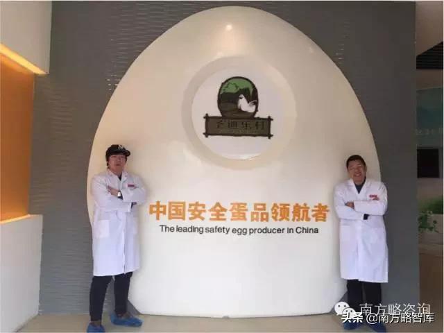 双十一品牌销售冠军,双11单品销量冠军