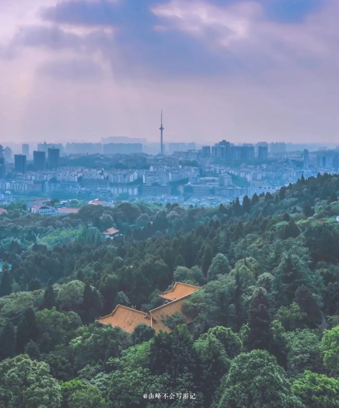 李子柒家乡成旅游景点,李子柒乡愁