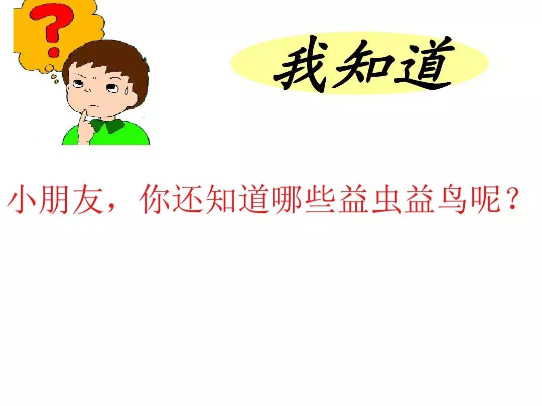 一年级下册语文19课棉花姑娘,一年级棉花姑娘课文笔记