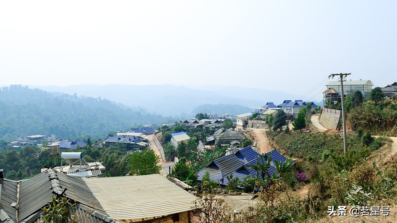 老班章古树普洱茶鉴定方法,老班章古树茶鉴别方法