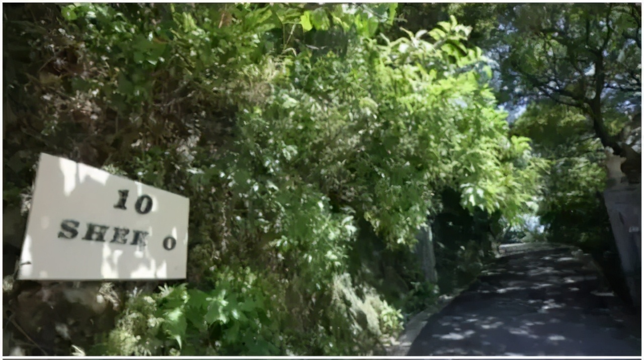 喜宝的剧情解析,喜宝剧情详细解析