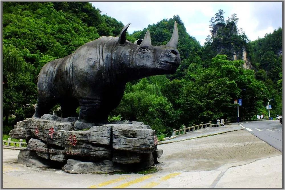 九峰源丨千年神农架，情系女儿城