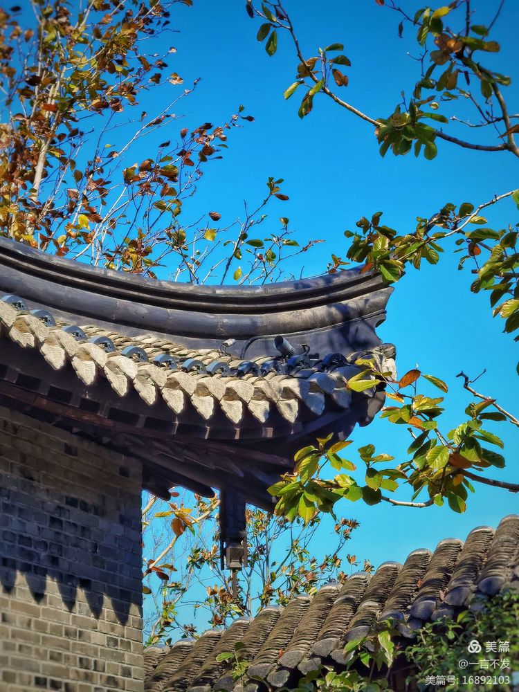 秋之旅免费完整版,秋之旅风景图片