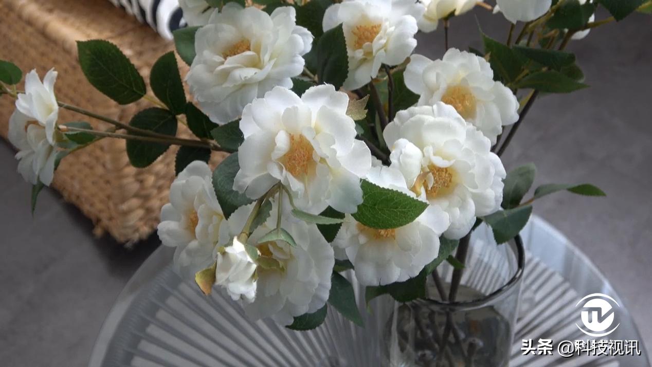 索尼ax60摄像机专注vlog视频创作,索尼hdr-ax60摄像机拍摄效果