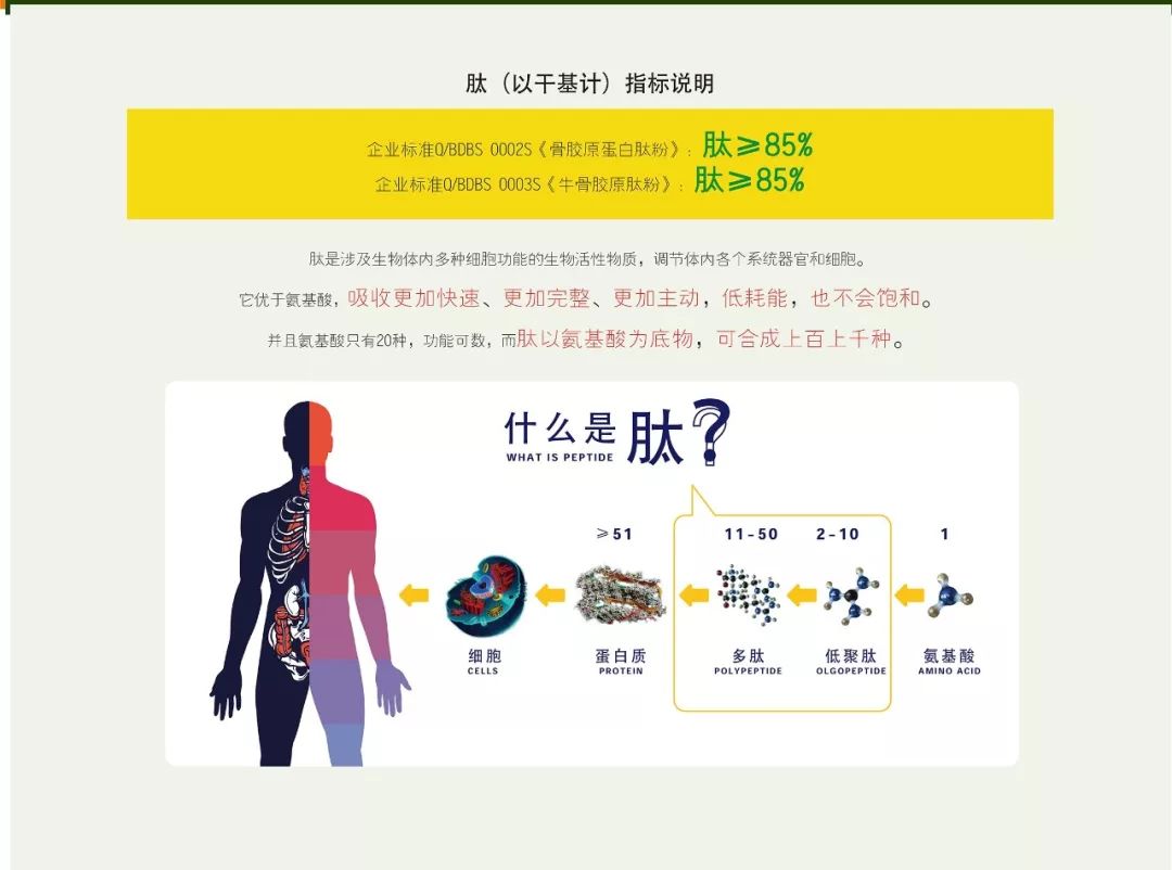 用标准立规矩用创新闯市场—包头市创建“标准国际化创新型城市”标准品牌故事之三东宝生物骨胶原蛋白肽粉