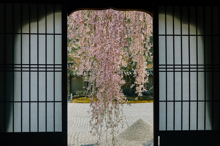 专访|2020米拍摄影奖·年度摄影师FuJi藤井树