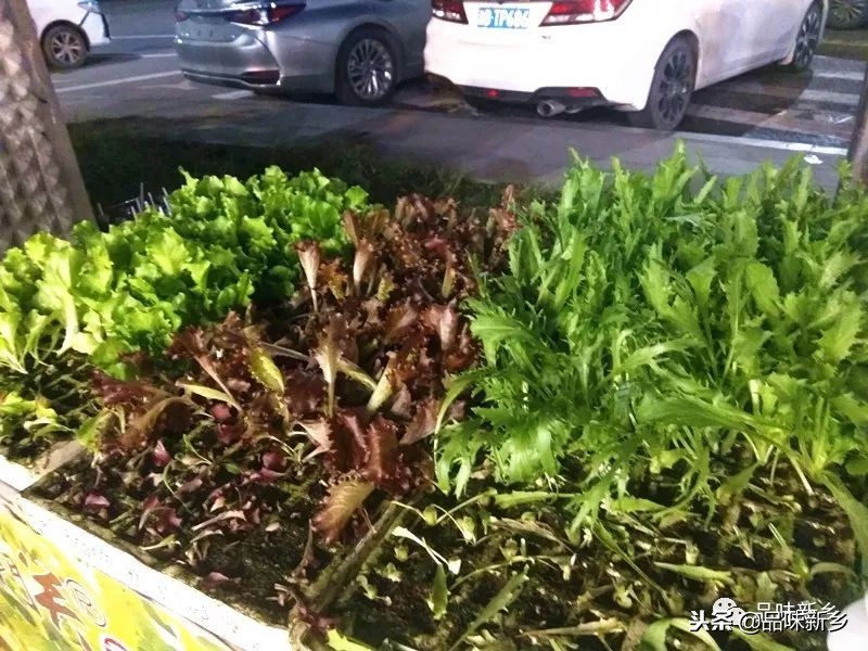 千里重庆火锅,重庆万里香火锅串串