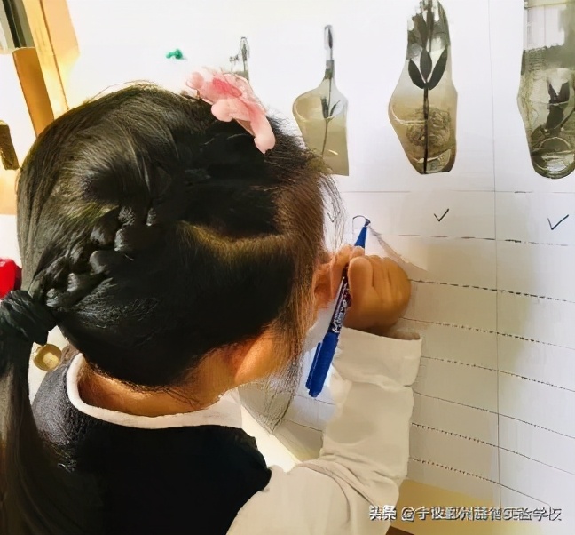 这所“相貌平平”的幼儿园，为什么宁波家长排着队想把孩子送进去