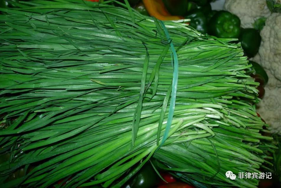 菲律宾青菜价格表,菲律宾蔬菜为什么那么贵