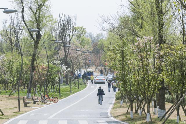 成都最有潜力的花园,成都是个大花园
