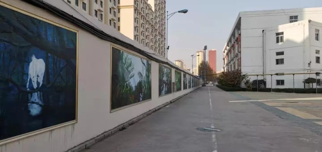 衡水十四中的环境,衡水十四中这两年发展的怎么样