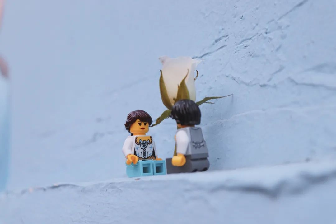 你见过每天玩乐高®积木还能赚钱的梦幻工作吗？