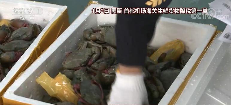 闄嶇◣鍟嗗搧鍏ュ叧鏂板勾,2020骞撮檷鍏崇◣鍟嗗搧娓呭崟