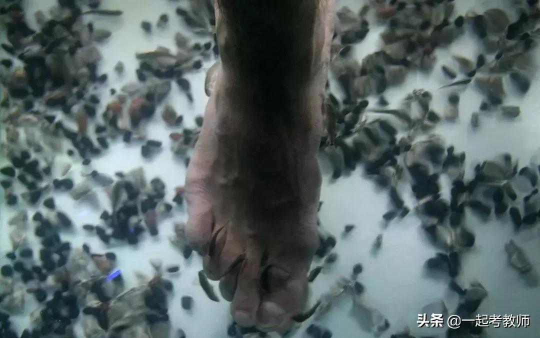 袜子和内衣裤可以用一个盆洗吗,袜子跟裤头能用洗衣机洗吗