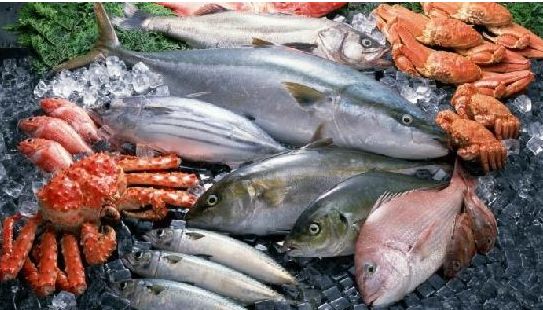 吴川鼎龙湾碧桂园海景,吴川鼎龙湾碧桂园景色图