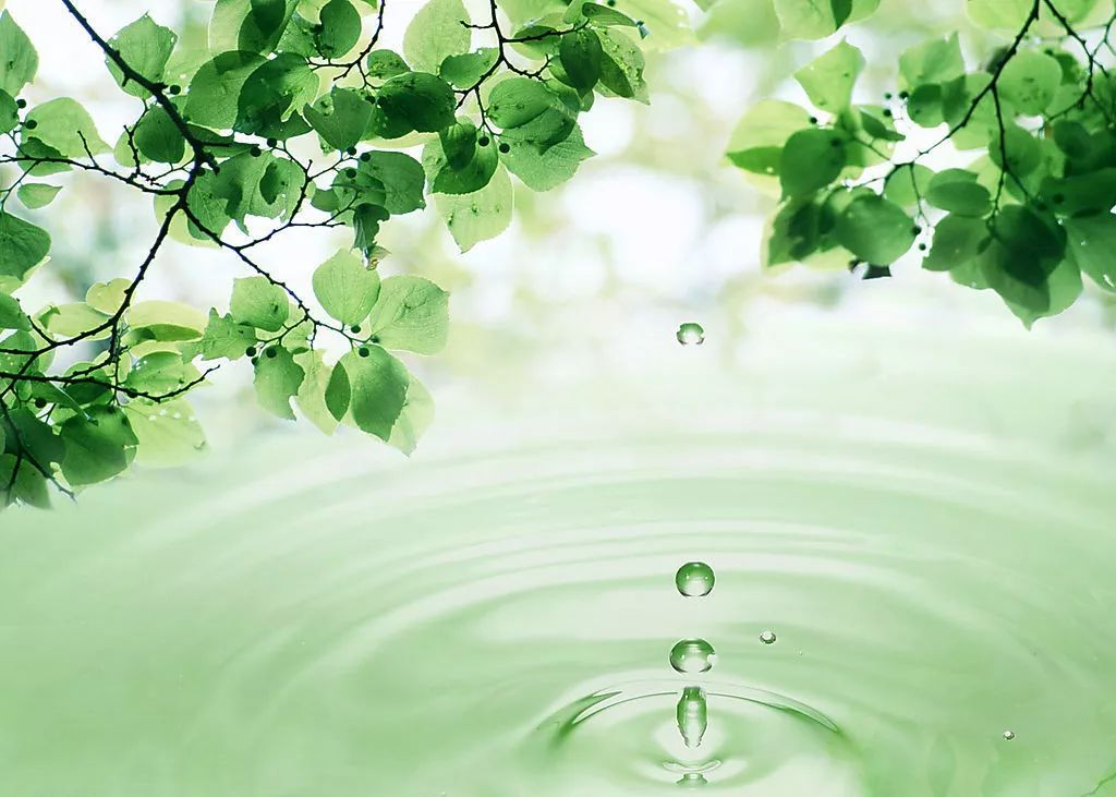 饮食有节起居有常的感悟,饮食有节起居有常出自哪里