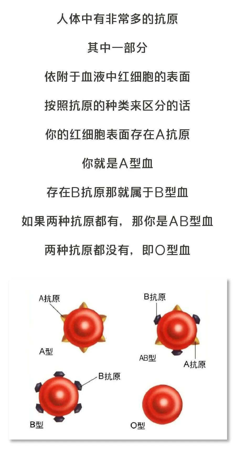 新冠病毒对血型有什么倾向,哪个血型最不容易感染新冠病毒