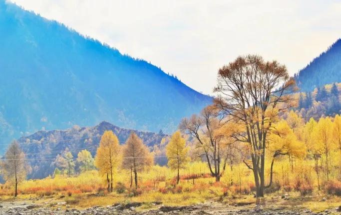 来感受大西北的异域风情,领略一下西北风情