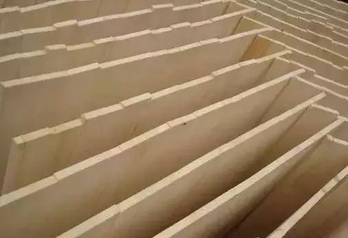 柴木是什么树种,柴木是什么