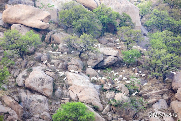 易县八百山,易县一日游太行水镇
