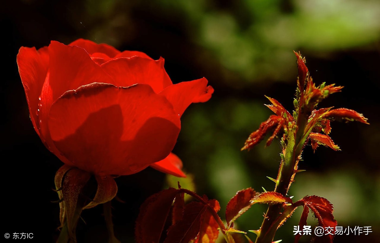 股市12条炒股干货,干货科普炒股的5条铁律