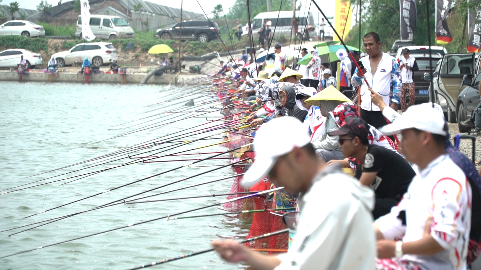 200元左右偷驴竿子,200元偷驴