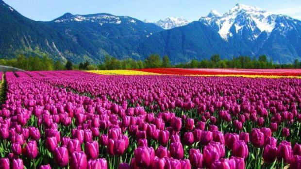 淘宝2019下沉市场,下沉市场这一年淘宝王者归来