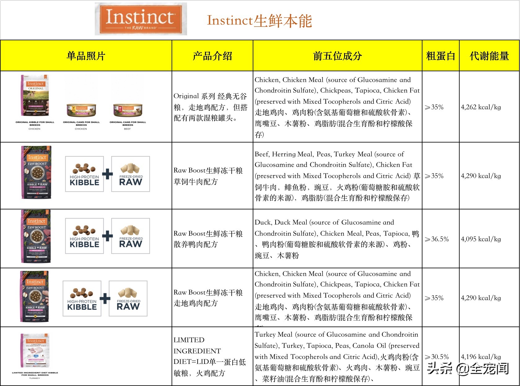 泰迪熊狗狗幼犬喂什么狗粮,比熊泰迪博美小鹿犬哪个合适养