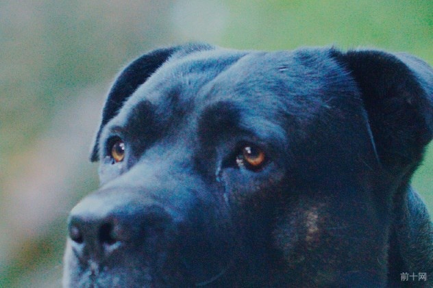 英格兰诡异传说,英格兰故事