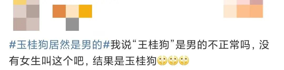 玉桂狗是不是反派,玉桂狗反派角色