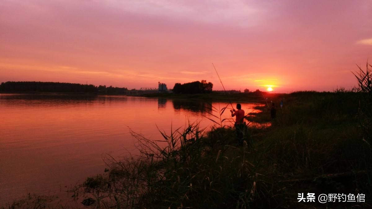 钓鲢鱼，千万别等黑漂再提竿（附手绘鲢鱼咬钩图）