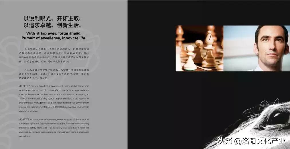 洛阳市文化产业协会会员风采展示──洛阳马头实业发展有限公司