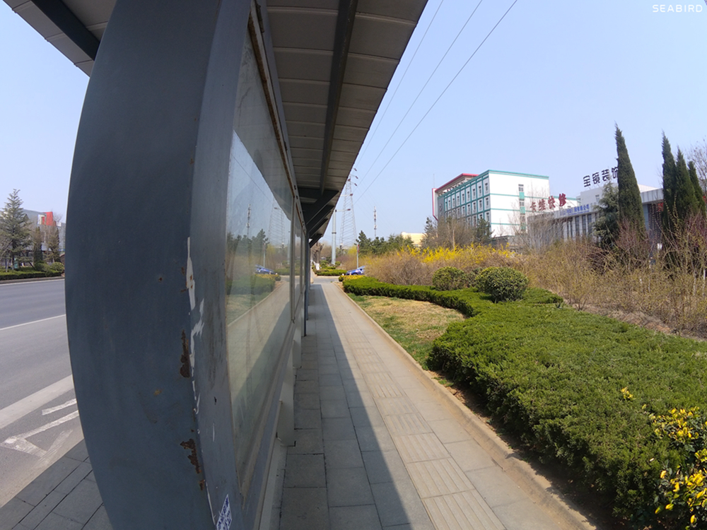 水下摄影4k,海鸟4k运动相机深度评测