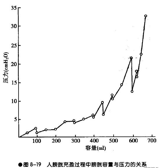 尿尿尿的到处都是?送你一份男生尿尿的最强攻略