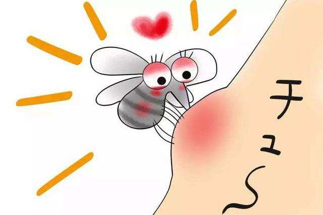 蚊子是怎样吸食你血液的,蚊子吸了我们的血后会发生什么