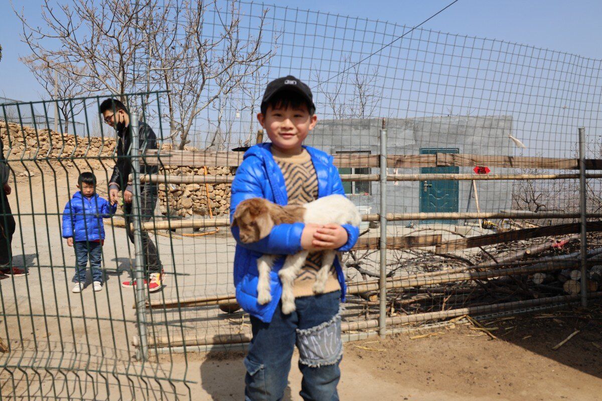 春暖三月“挖野菜”祖孙三代齐欢乐