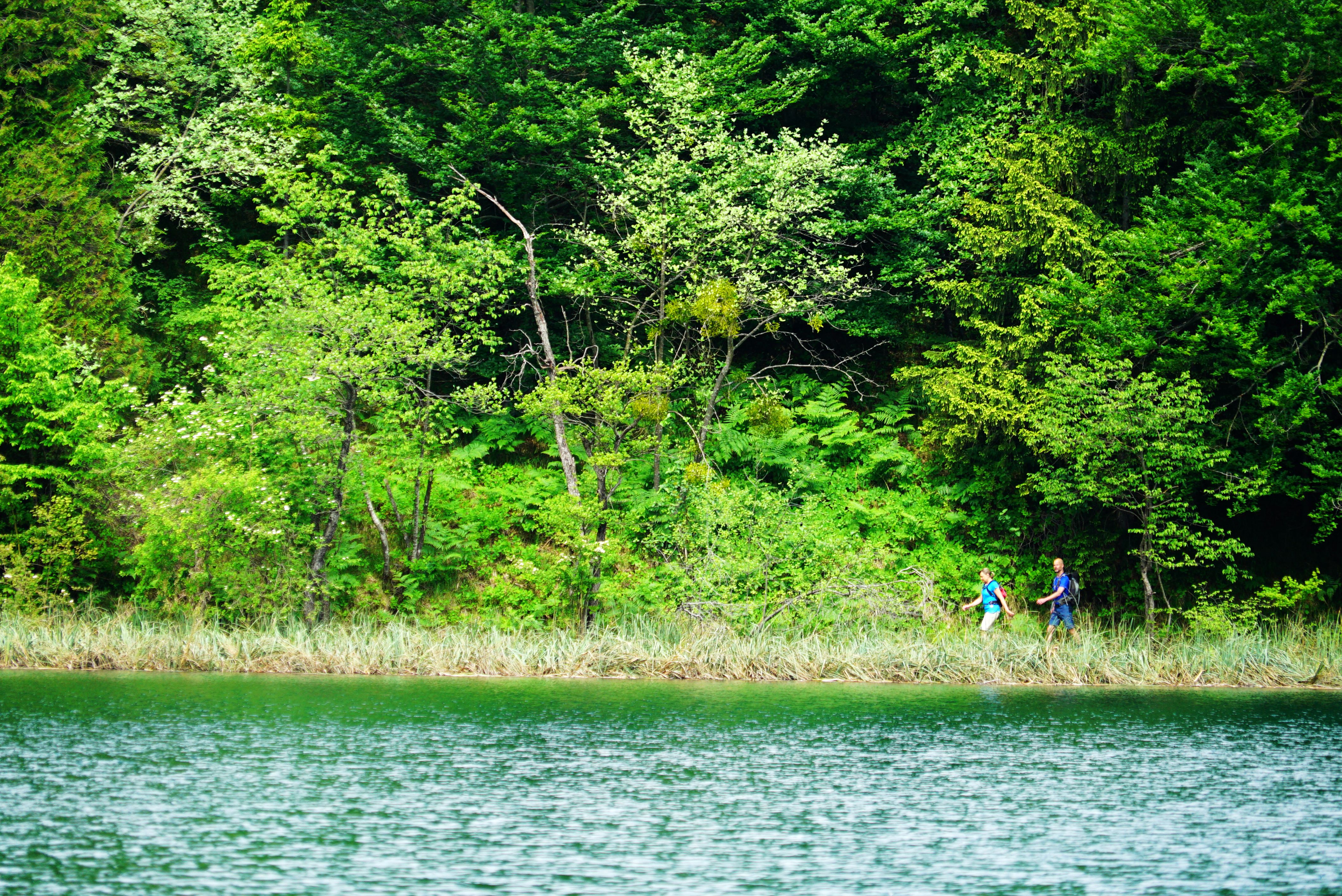 克罗地亚十六湖国家公园,克罗地亚十六湖仙境