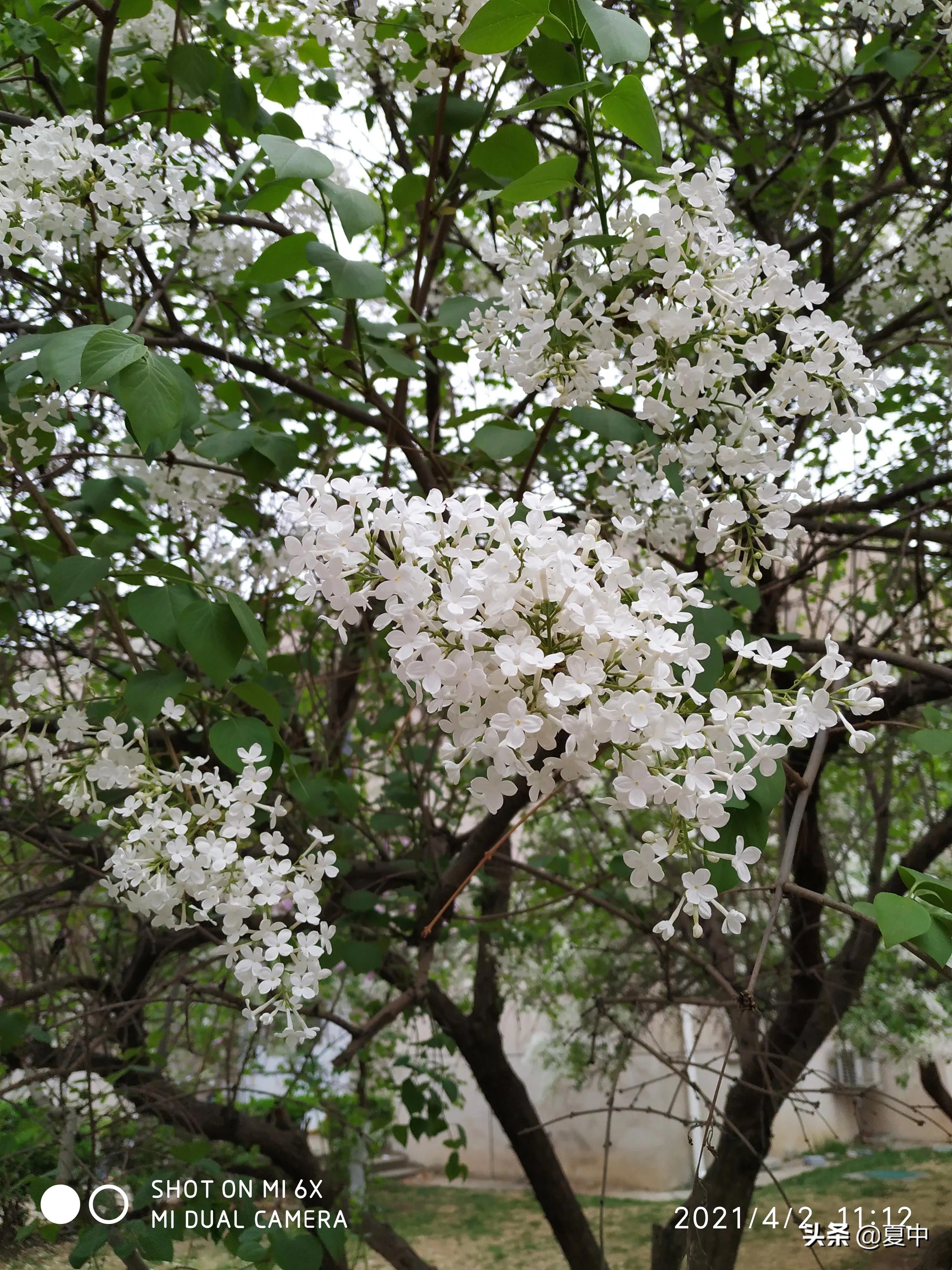 中考对联试题大全集锦,中考对联专项训练含详细答案